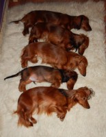 /album/spolecne-foto/dscn0856-2-jpg/